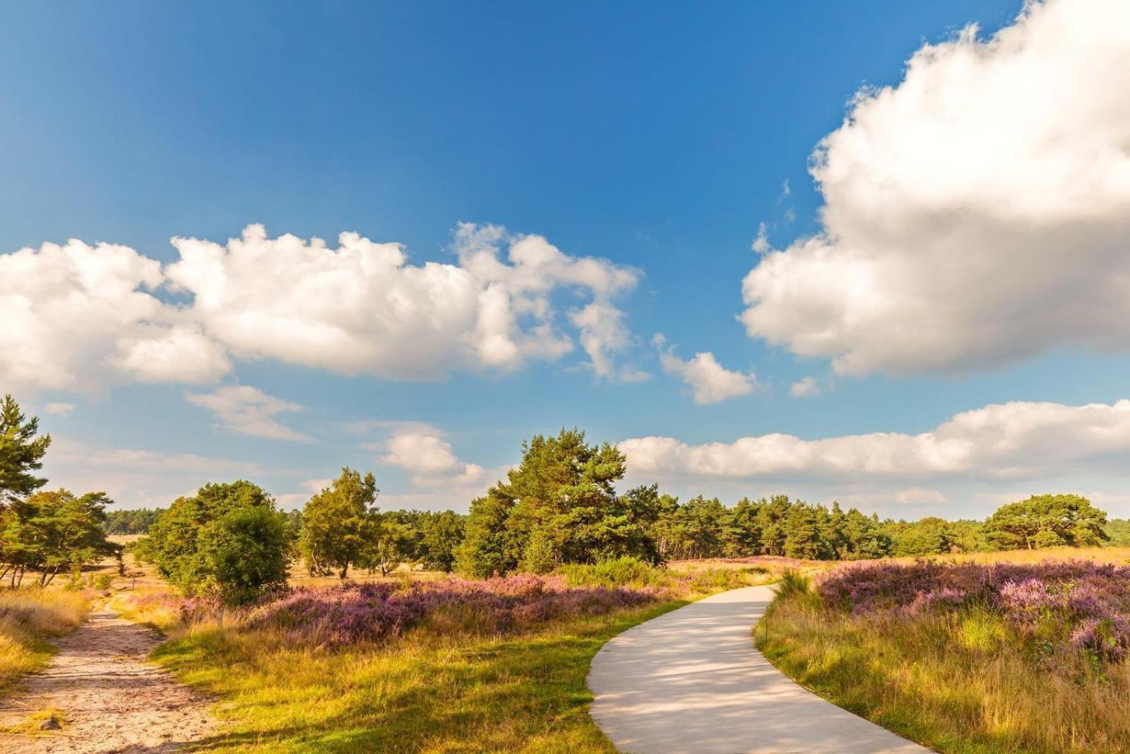 Top Luxe Chalet - Kindvriendelijk - Bos En Heide Harderwijk Εξωτερικό φωτογραφία
